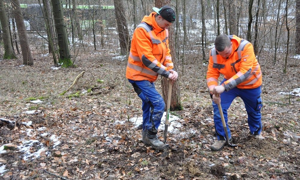 Baumpflanzaktion für Azubis-1