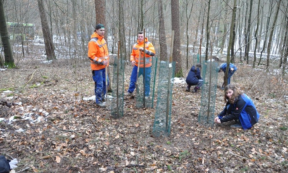 Baumpflanzaktion für Azubis-2